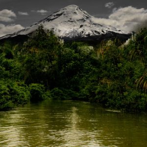 Foto Der Ruf von Nigel Jackett