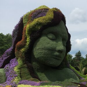 Bild Meine Deine Heimat